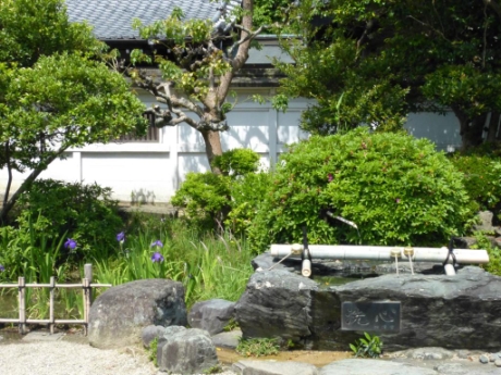 画像9