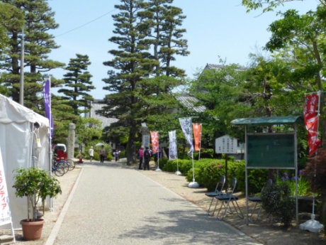画像13