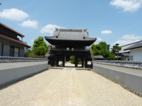 画像14