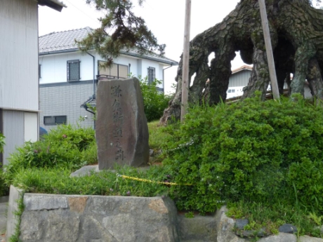 画像17