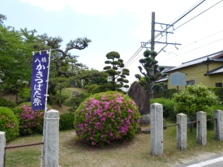 画像18