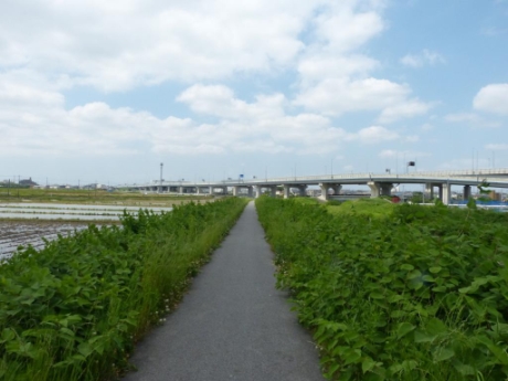 画像20