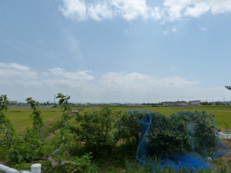 画像22