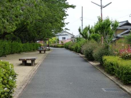 画像23