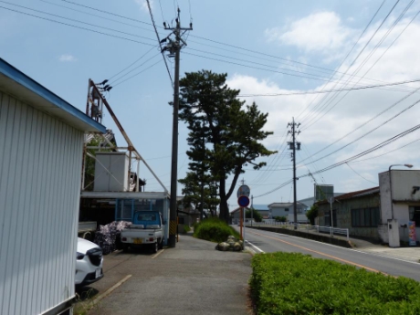 画像33