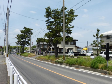画像34