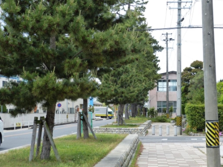 画像38