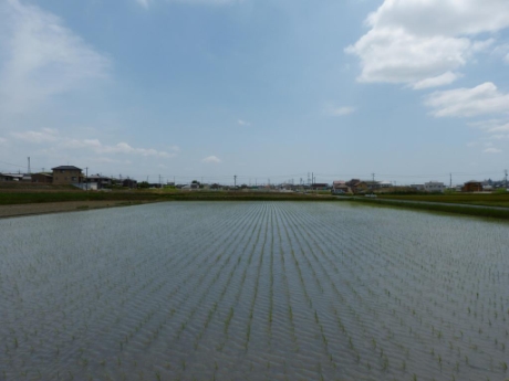 画像45