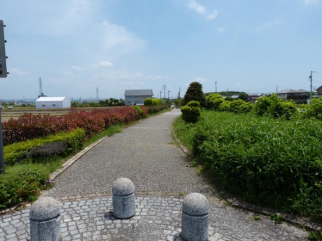 画像46