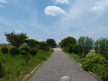画像47