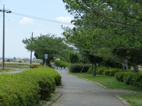 画像48
