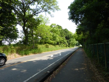 画像8
