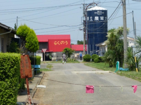 画像9