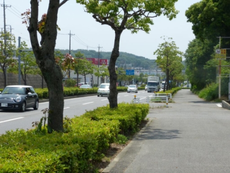 画像31