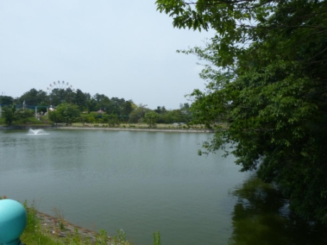 画像33