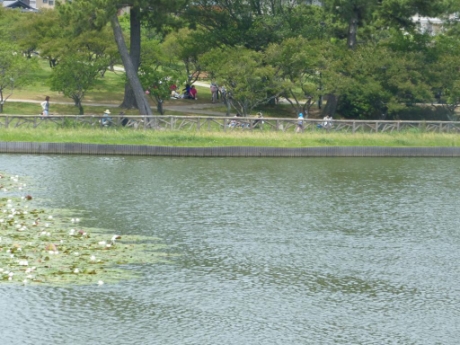 画像34