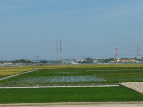 画像13