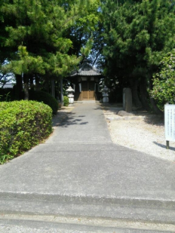 画像6