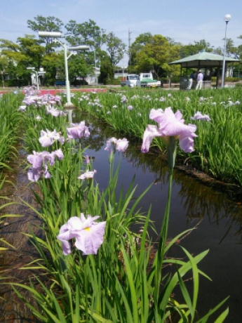 画像9