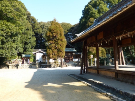 画像6