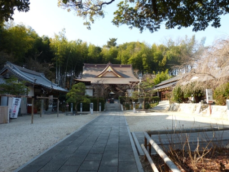 画像13