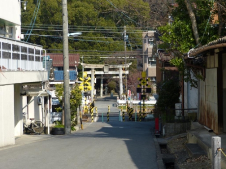 画像23