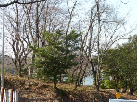 画像31